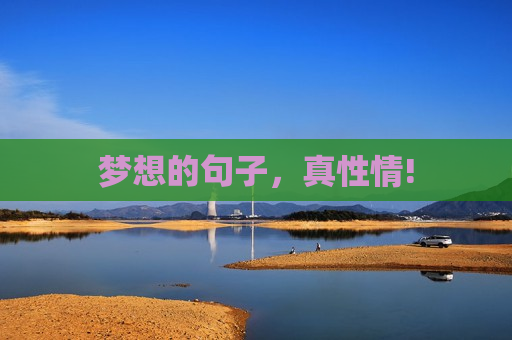 梦想的句子，真性情!