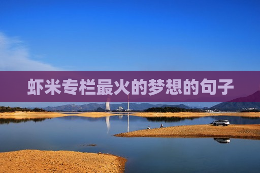虾米专栏最火的梦想的句子