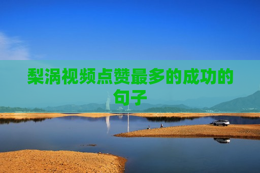 梨涡视频点赞最多的成功的句子