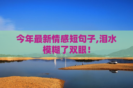 今年最新情感短句子,泪水模糊了双眼！
