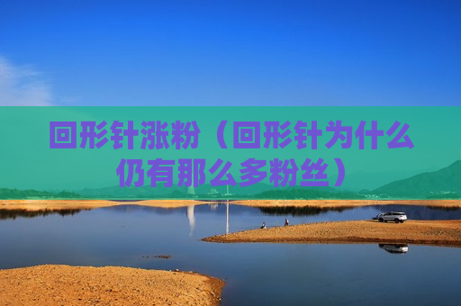 回形针涨粉（回形针为什么仍有那么多粉丝）