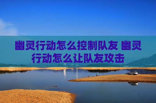 幽灵行动怎么控制队友 幽灵行动怎么让队友攻击