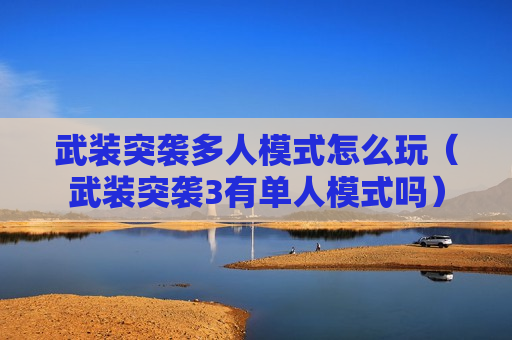 武装突袭多人模式怎么玩（武装突袭3有单人模式吗）