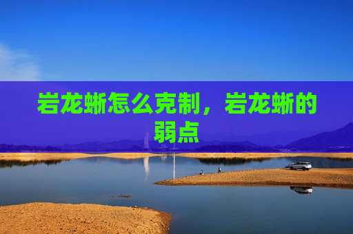 岩龙蜥怎么克制，岩龙蜥的弱点
