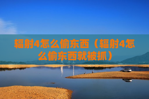 辐射4怎么偷东西（辐射4怎么偷东西就被抓）