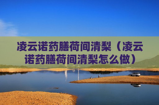 凌云诺药膳荷间清梨（凌云诺药膳荷间清梨怎么做）