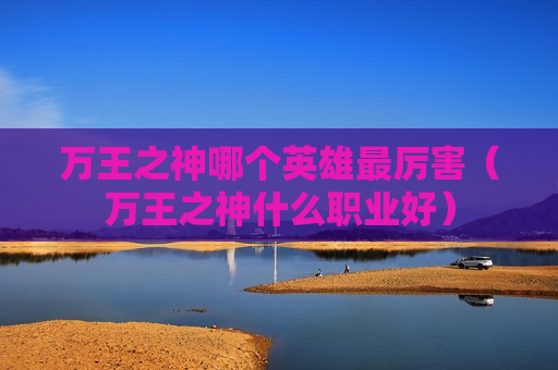 万王之神哪个英雄最厉害（万王之神什么职业好）