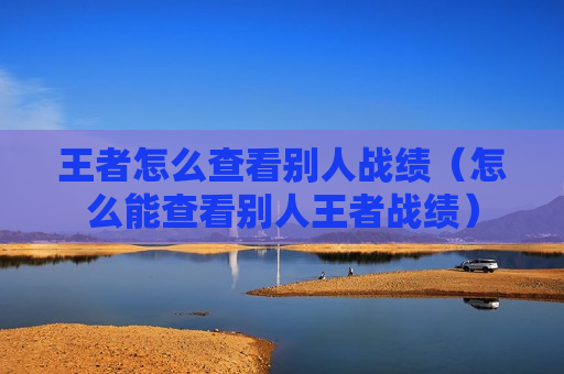 王者怎么查看别人战绩（怎么能查看别人王者战绩）