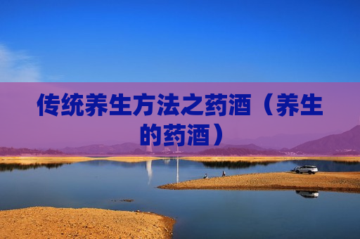 传统养生方法之药酒（养生的药酒）