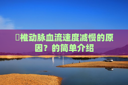 ​椎动脉血流速度减慢的原因？的简单介绍