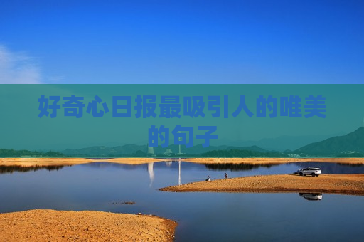 好奇心日报最吸引人的唯美的句子