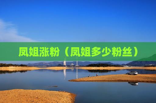 凤姐涨粉（凤姐多少粉丝）