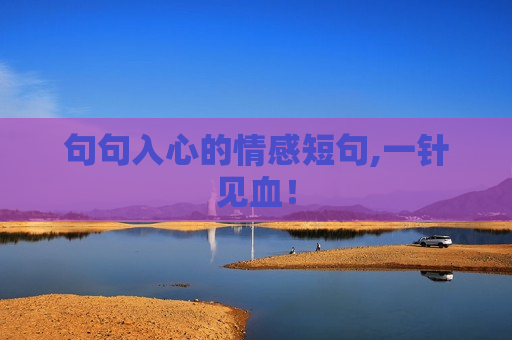 句句入心的情感短句,一针见血！