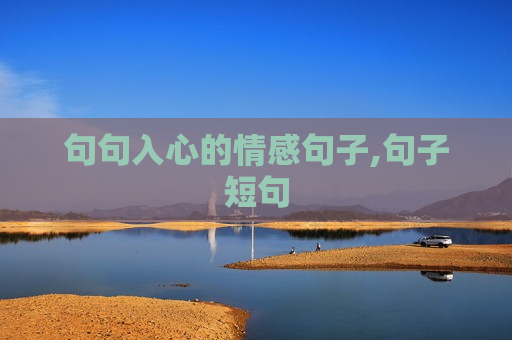 句句入心的情感句子,句子短句