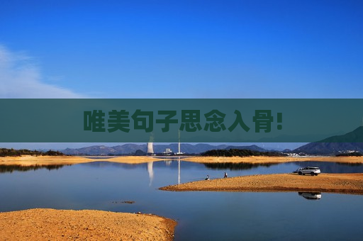 唯美句子思念入骨!