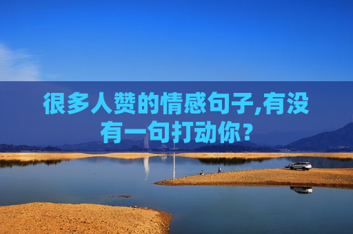很多人赞的情感句子,有没有一句打动你？