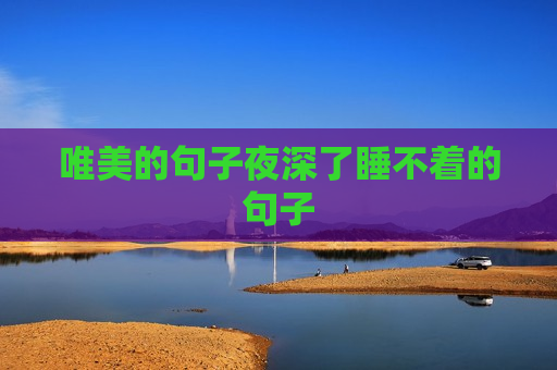 唯美的句子夜深了睡不着的句子