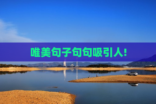 唯美句子句句吸引人!