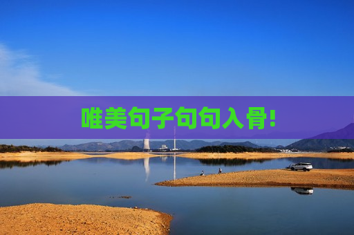 唯美句子句句入骨!