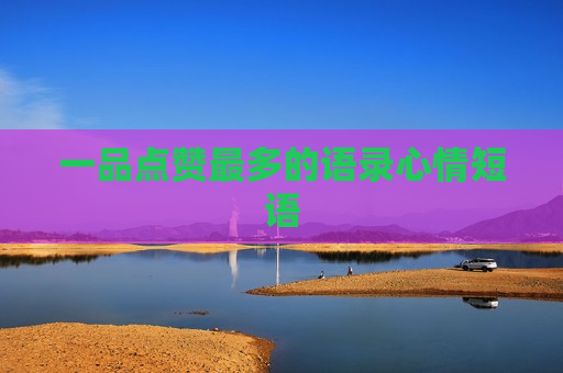 一品点赞最多的语录心情短语