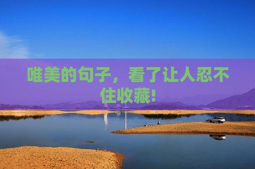 唯美的句子，看了让人忍不住收藏!
