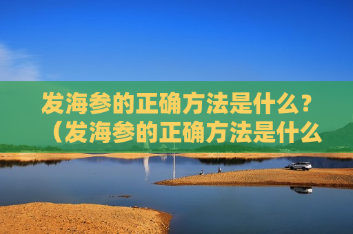 发海参的正确方法是什么？（发海参的正确方法是什么呢）