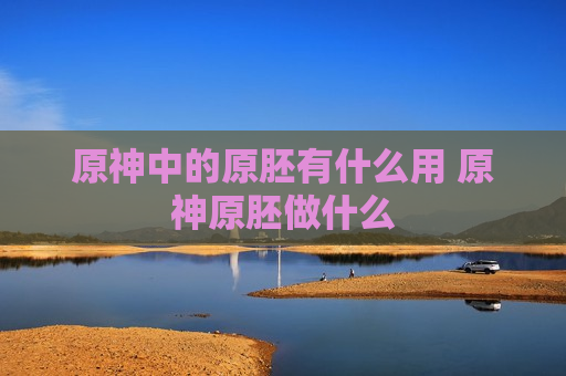 原神中的原胚有什么用 原神原胚做什么