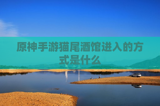 原神手游猫尾酒馆进入的方式是什么