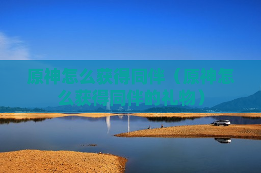原神怎么获得同伴（原神怎么获得同伴的礼物）