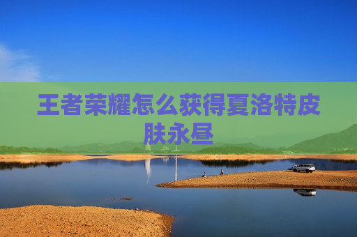 王者荣耀怎么获得夏洛特皮肤永昼