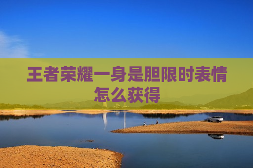 王者荣耀一身是胆限时表情怎么获得