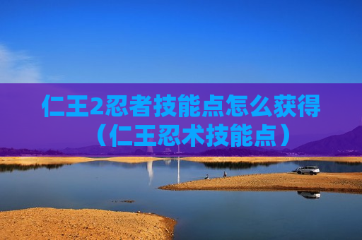 仁王2忍者技能点怎么获得（仁王忍术技能点）