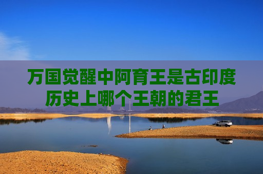 万国觉醒中阿育王是古印度历史上哪个王朝的君王