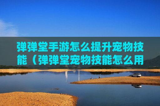 弹弹堂手游怎么提升宠物技能（弹弹堂宠物技能怎么用）