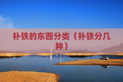 补铁的东西分类（补铁分几种）