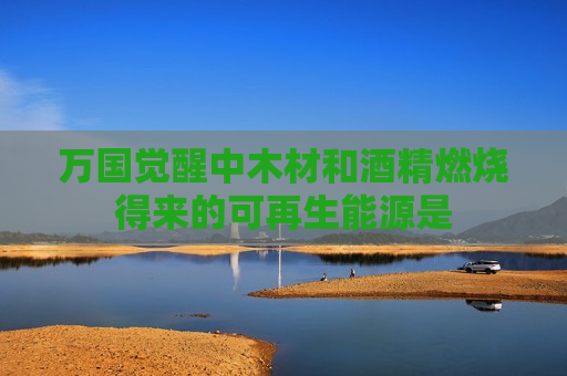 万国觉醒中木材和酒精燃烧得来的可再生能源是