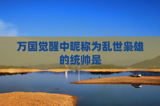 万国觉醒中昵称为乱世枭雄的统帅是