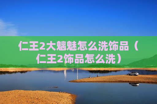 仁王2大魑魅怎么洗饰品（仁王2饰品怎么洗）