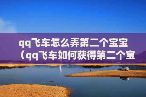 qq飞车怎么弄第二个宝宝（qq飞车如何获得第二个宝宝）