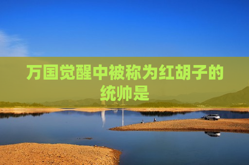 万国觉醒中被称为红胡子的统帅是