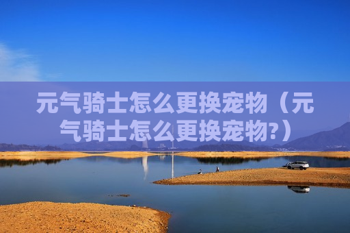 元气骑士怎么更换宠物（元气骑士怎么更换宠物?）