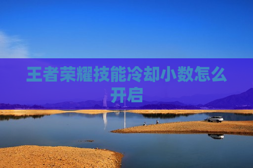 王者荣耀技能冷却小数怎么开启