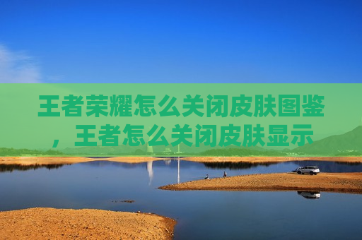 王者荣耀怎么关闭皮肤图鉴，王者怎么关闭皮肤显示