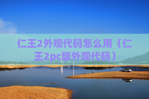 仁王2外观代码怎么用（仁王2pc版外观代码）
