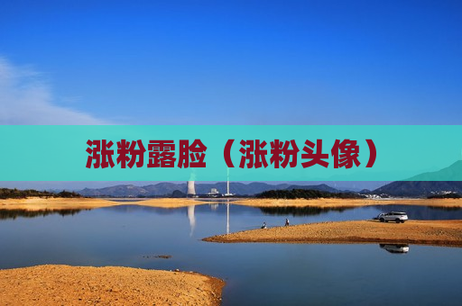 涨粉露脸（涨粉头像）