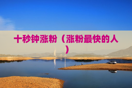 十秒钟涨粉（涨粉最快的人）