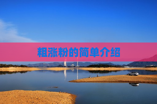 粗涨粉的简单介绍