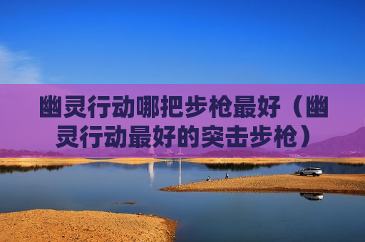 幽灵行动哪把步枪最好（幽灵行动最好的突击步枪）