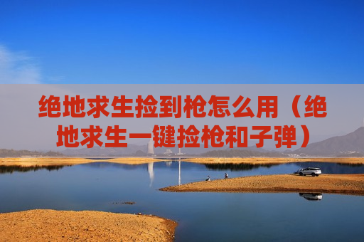 绝地求生捡到枪怎么用（绝地求生一键捡枪和子弹）