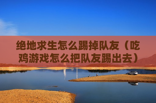绝地求生怎么踢掉队友（吃鸡游戏怎么把队友踢出去）